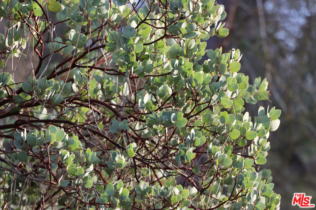 3 Blackhawk Drive, Coarsegold, CA 93614