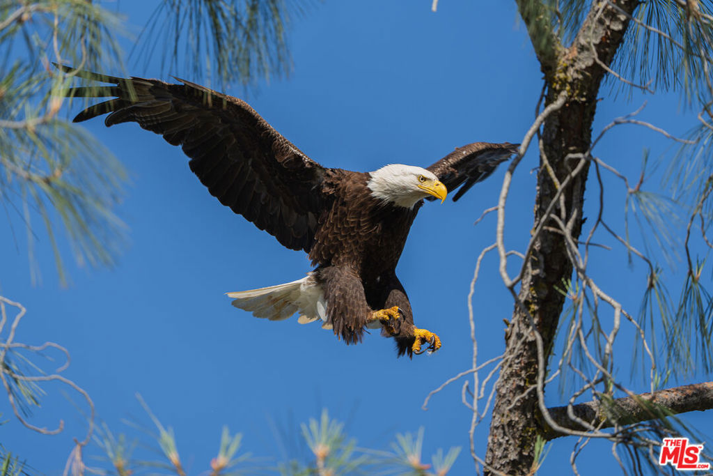 3 Blackhawk Drive, Coarsegold, CA 93614