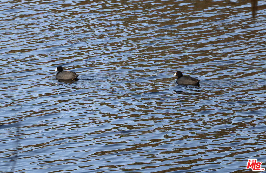 3 Blackhawk Drive, Coarsegold, CA 93614