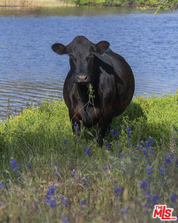 41924 Patrick Avenue #TPN#4337/1, Coarsegold, CA 93614