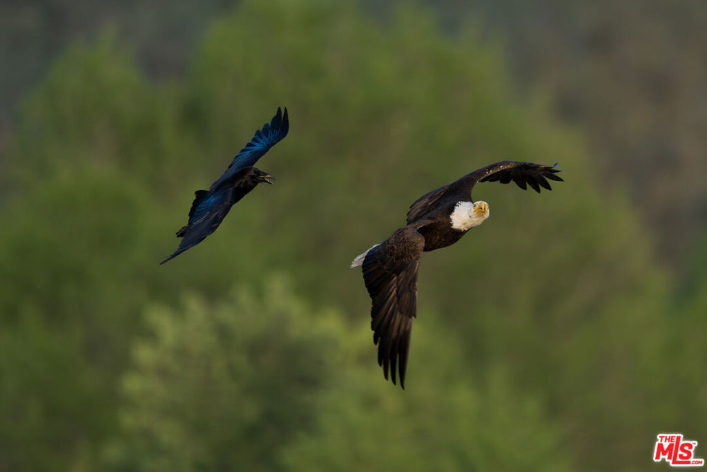 41924 Patrick Ave, Coarsegold, CA 93614