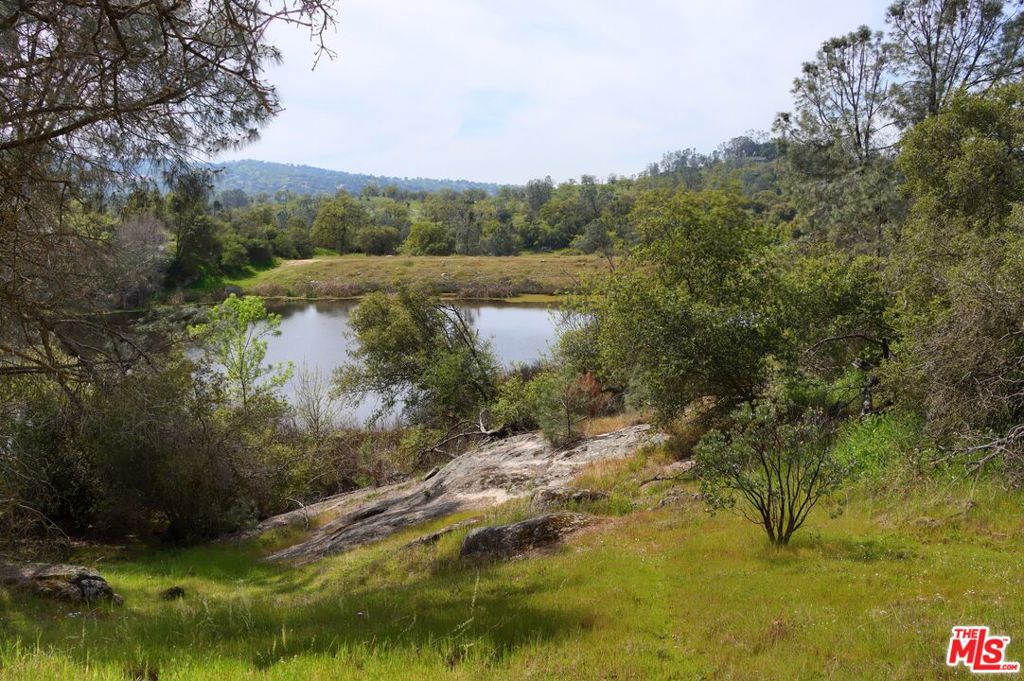 41924 Patrick Ave, Coarsegold, CA 93614