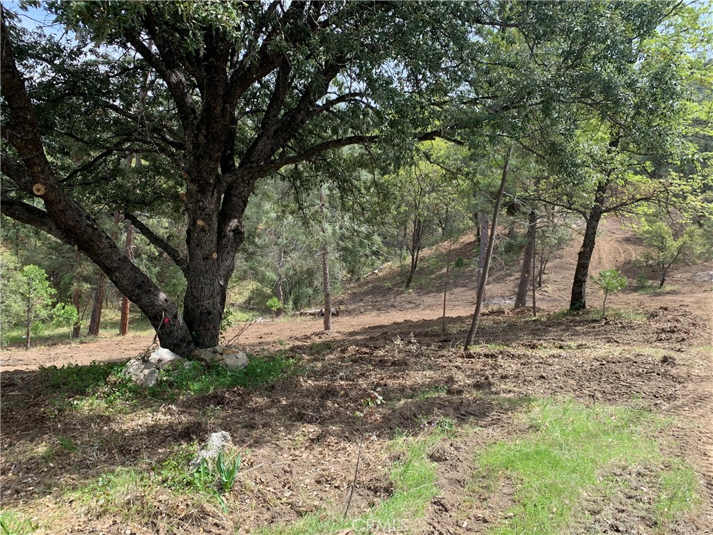 222 Rd 222, Oakhurst, CA 93644