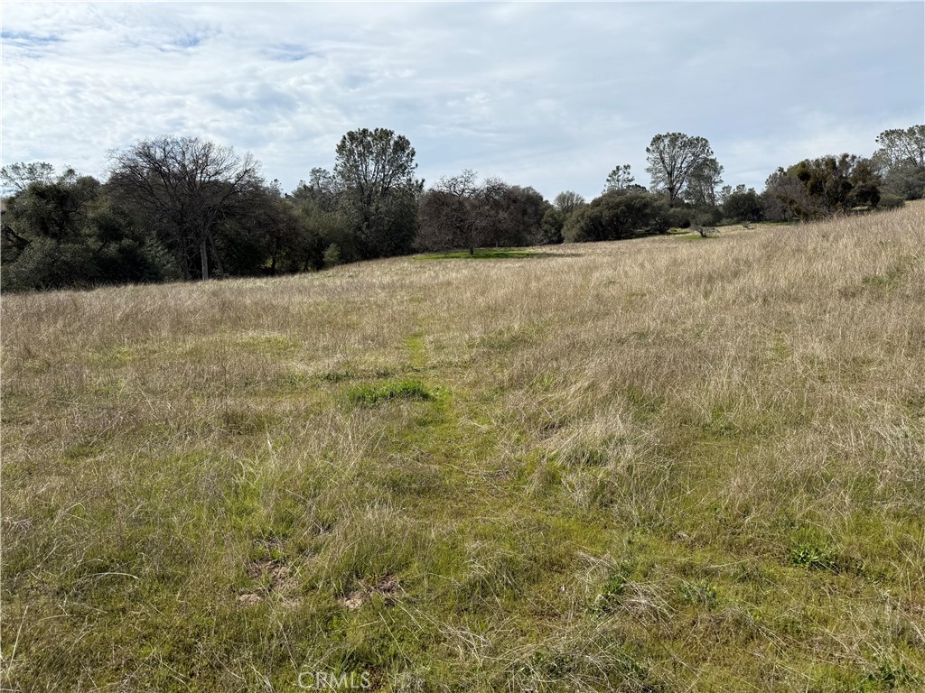 64 Victoria Ln, Oakhurst, CA 93644