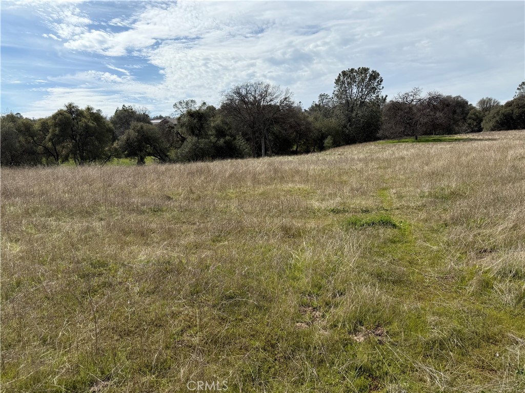 64 Victoria Ln, Oakhurst, CA 93644