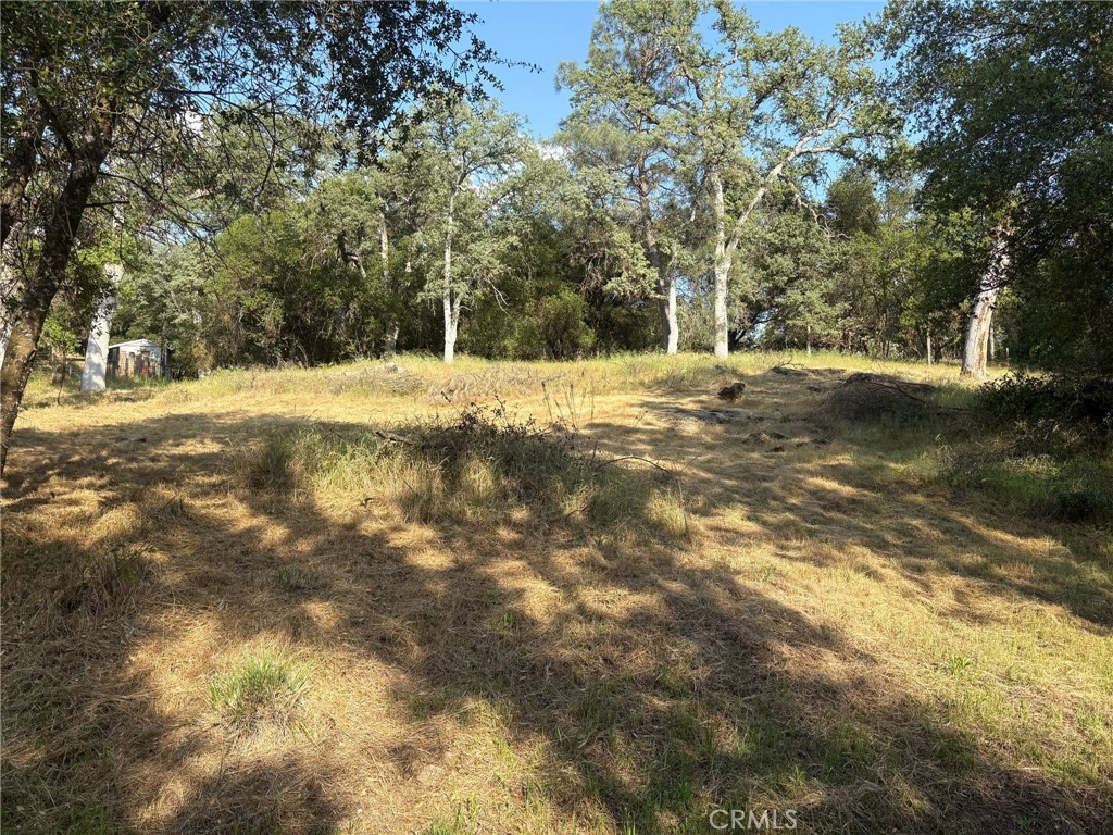 0 Chickasaw Rd, Coarsegold, CA 93614