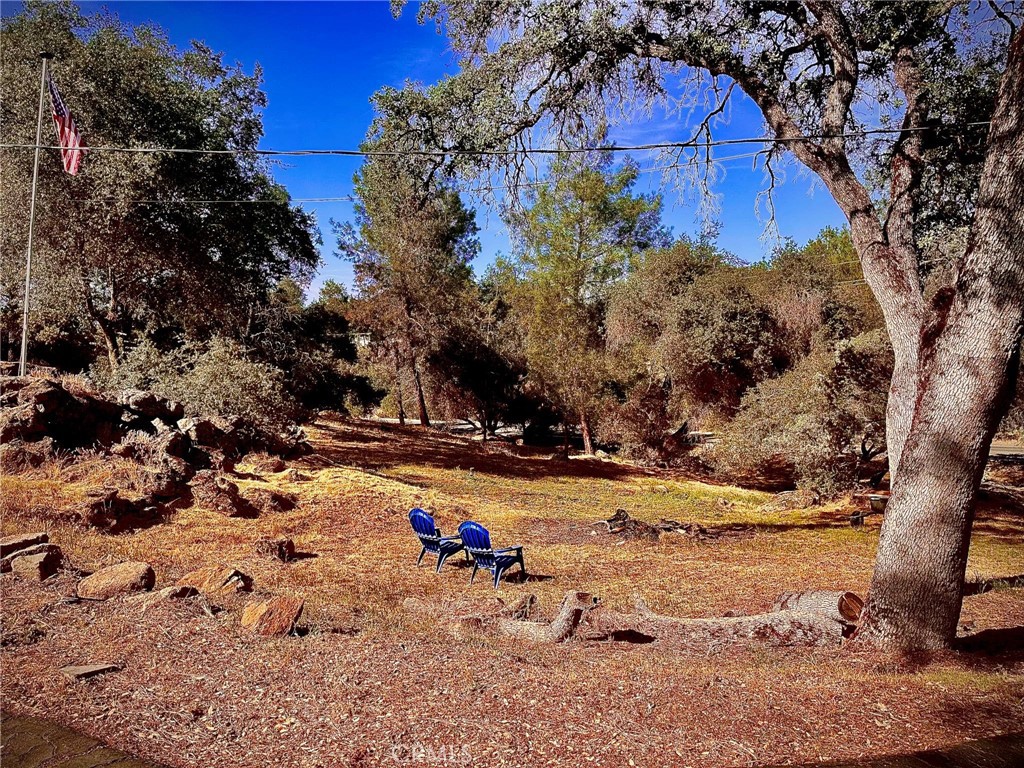 31388 Yosemite Springs, Coarsegold, CA 93614