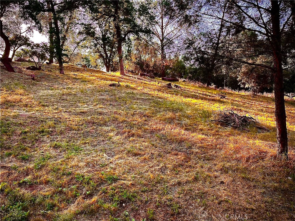 31388 Yosemite Springs, Coarsegold, CA 93614