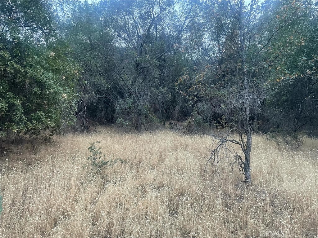 43020 Apache Ranch Rd, Ahwahnee, CA 93601