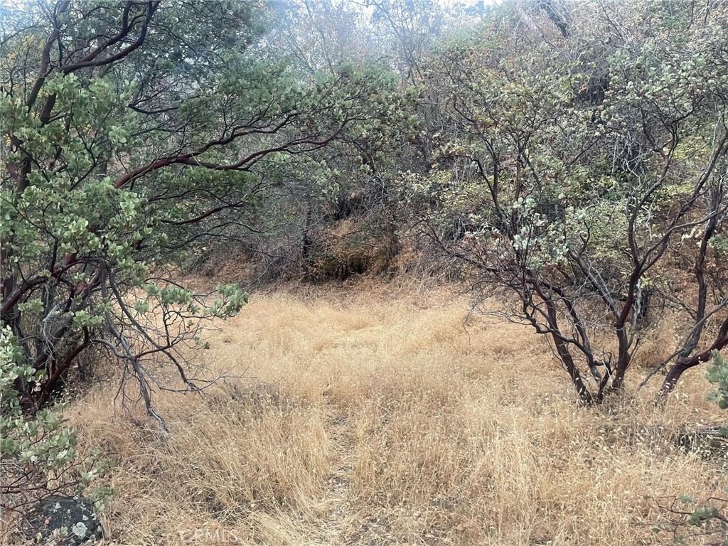 43020 Apache Ranch Rd, Ahwahnee, CA 93601