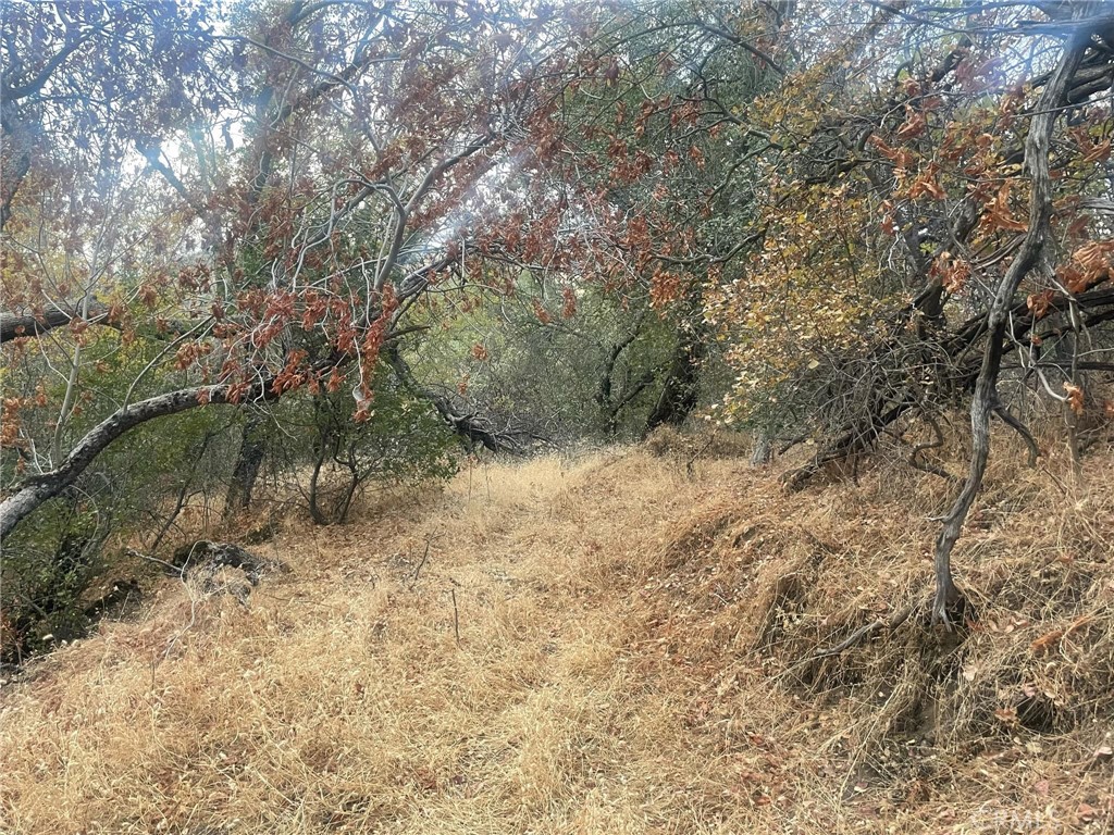 43020 Apache Ranch Rd, Ahwahnee, CA 93601