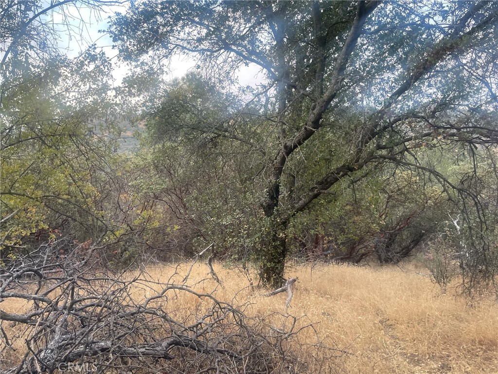 43020 Apache Ranch Rd, Ahwahnee, CA 93601