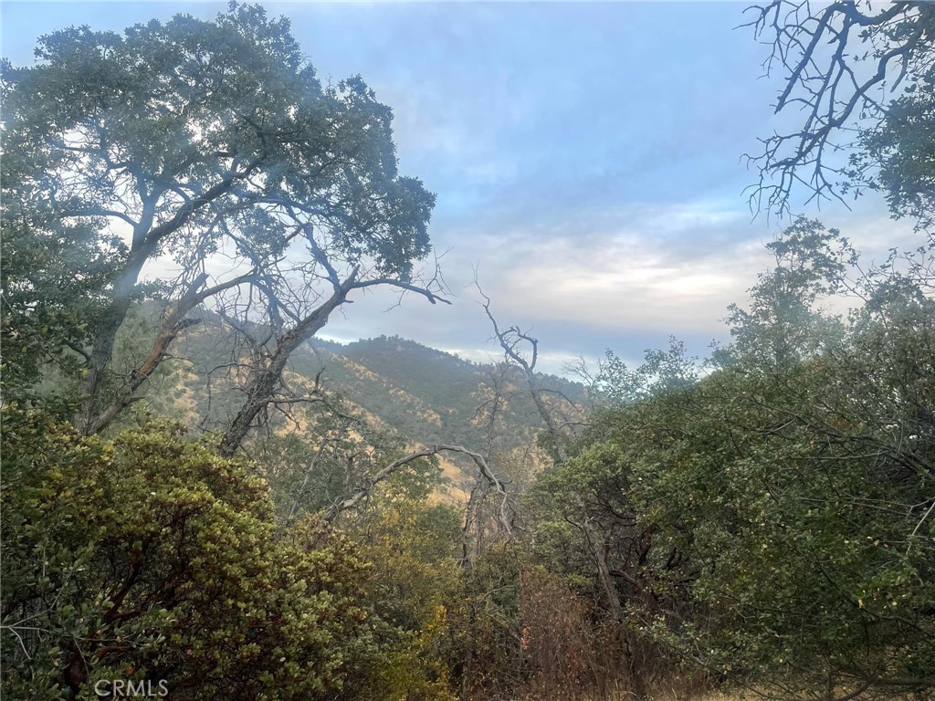 43020 Apache Ranch Rd, Ahwahnee, CA 93601