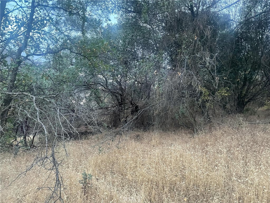 43020 Apache Ranch Rd, Ahwahnee, CA 93601