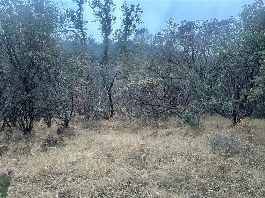 43020 Apache Ranch Rd, Ahwahnee, CA 93601