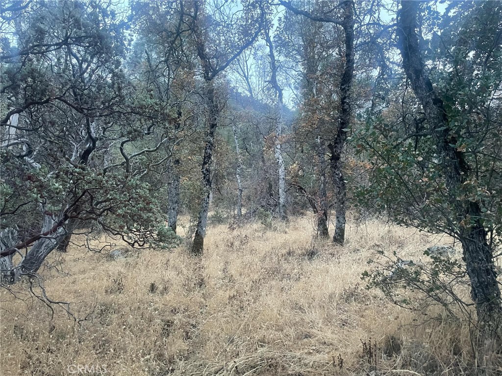 43020 Apache Ranch Rd, Ahwahnee, CA 93601