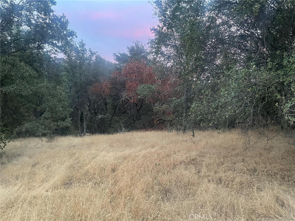 43020 Apache Ranch Rd, Ahwahnee, CA 93601
