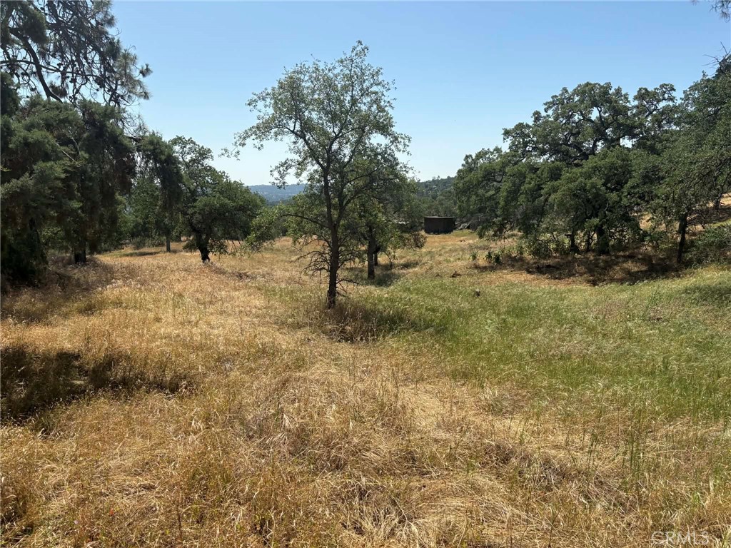 0 Lilley Mountain, Coarsegold, CA 93614