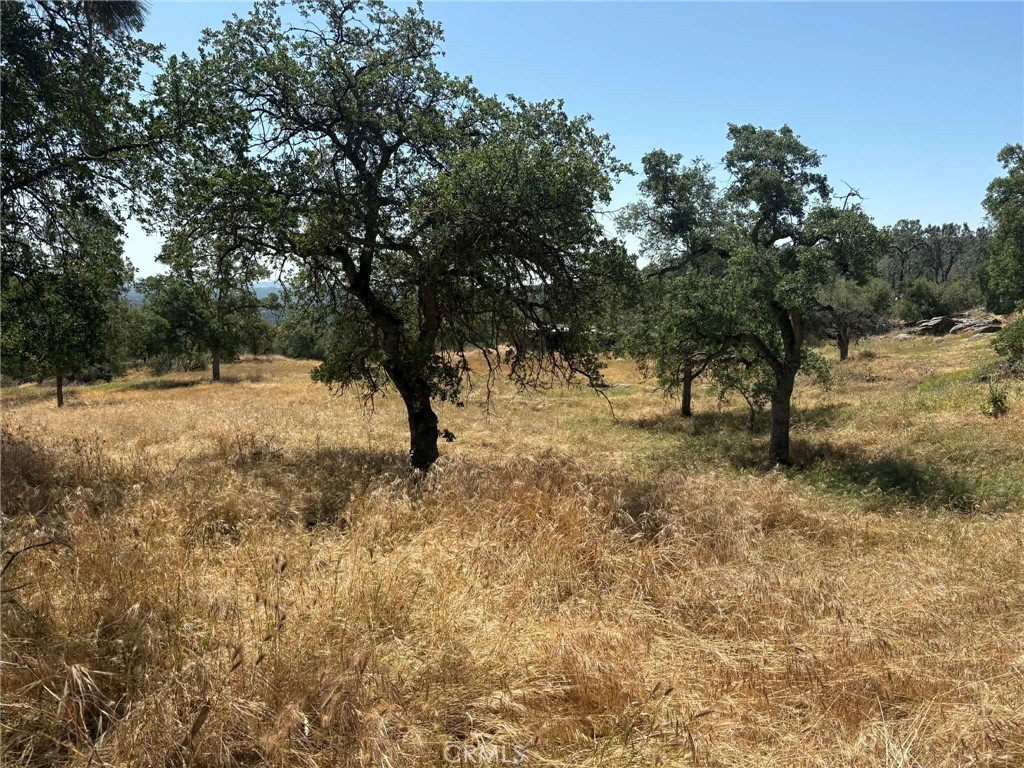 0 Lilley Mountain, Coarsegold, CA 93614