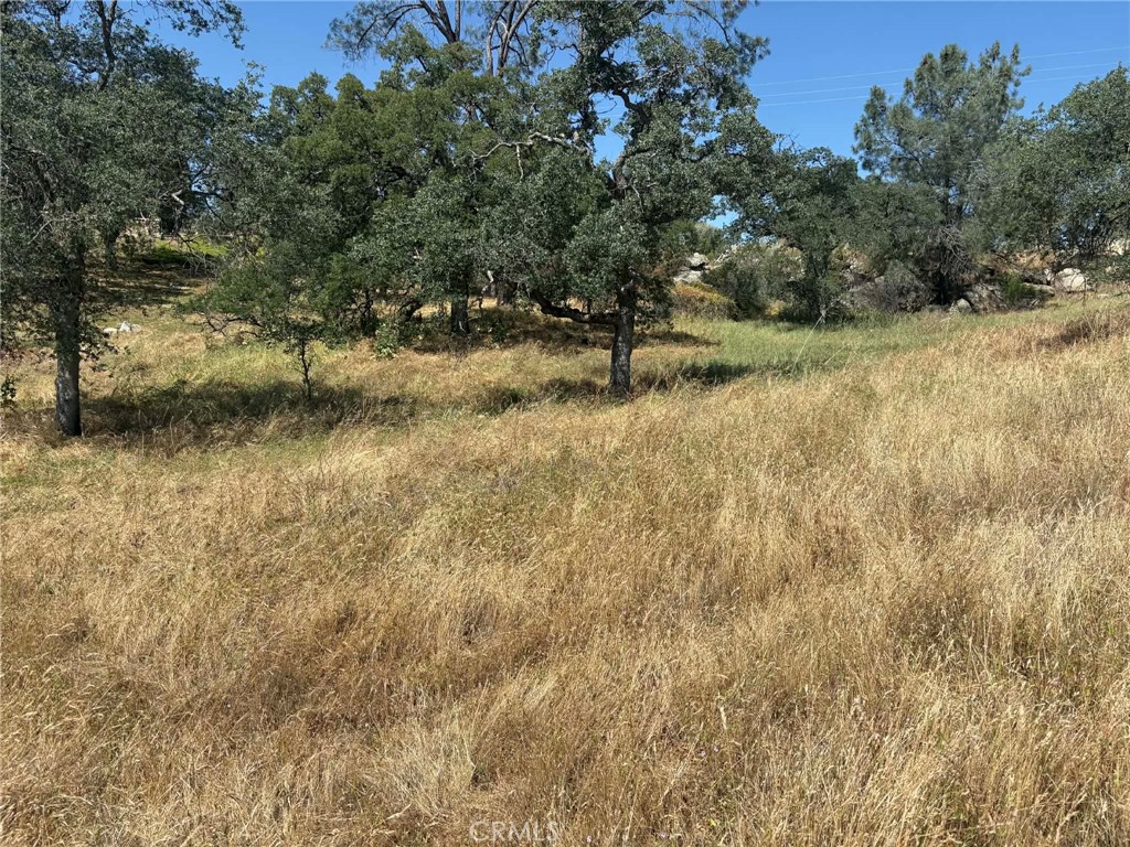 0 Lilley Mountain, Coarsegold, CA 93614