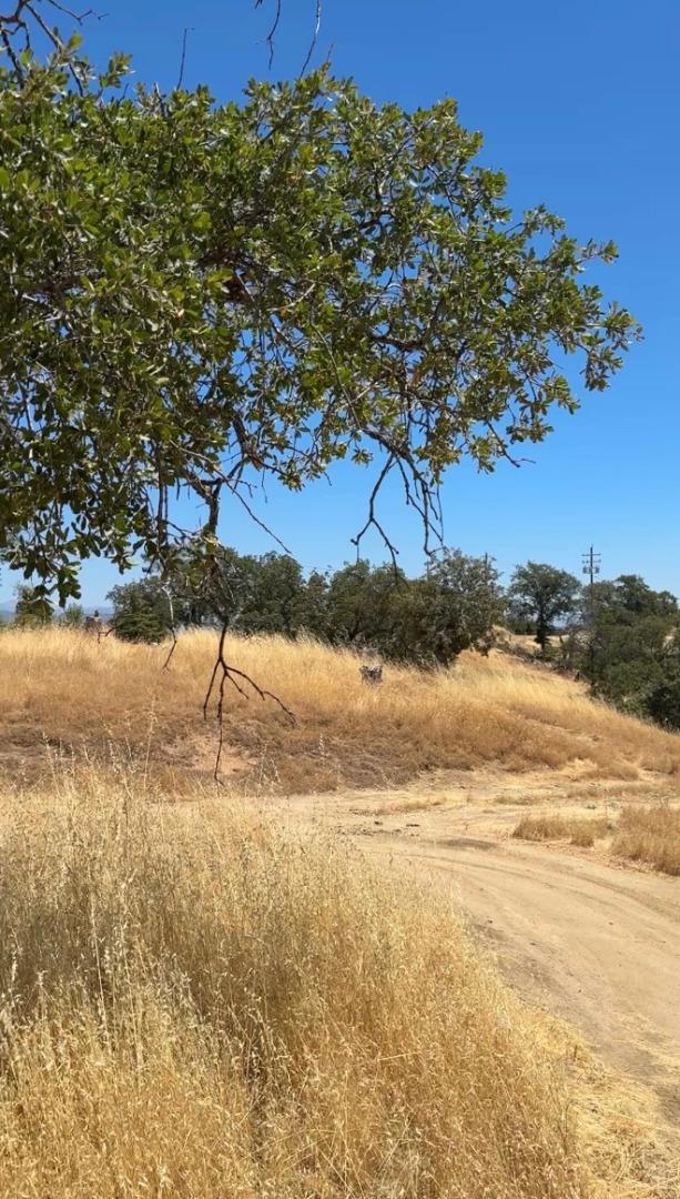 41176 Lilley Mountain Dr, Coarsegold, CA 93614