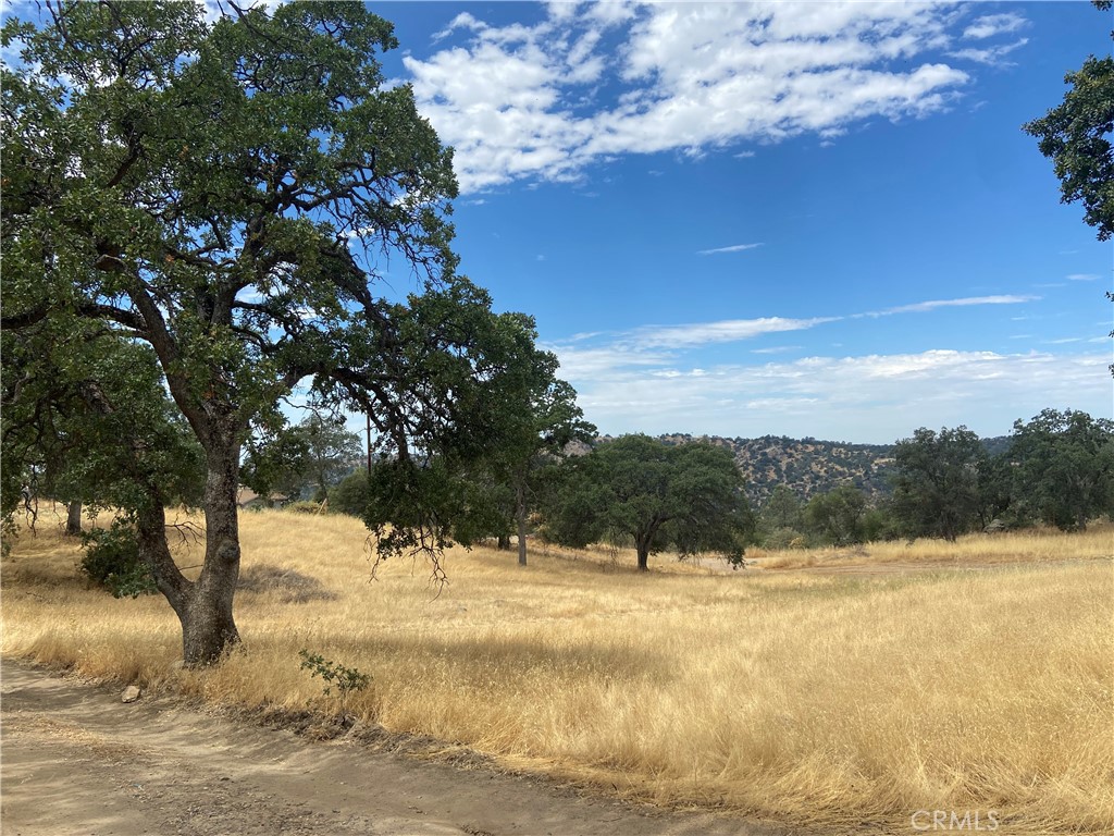 0 Hogans Mountain RD, Coarsegold, CA 93614