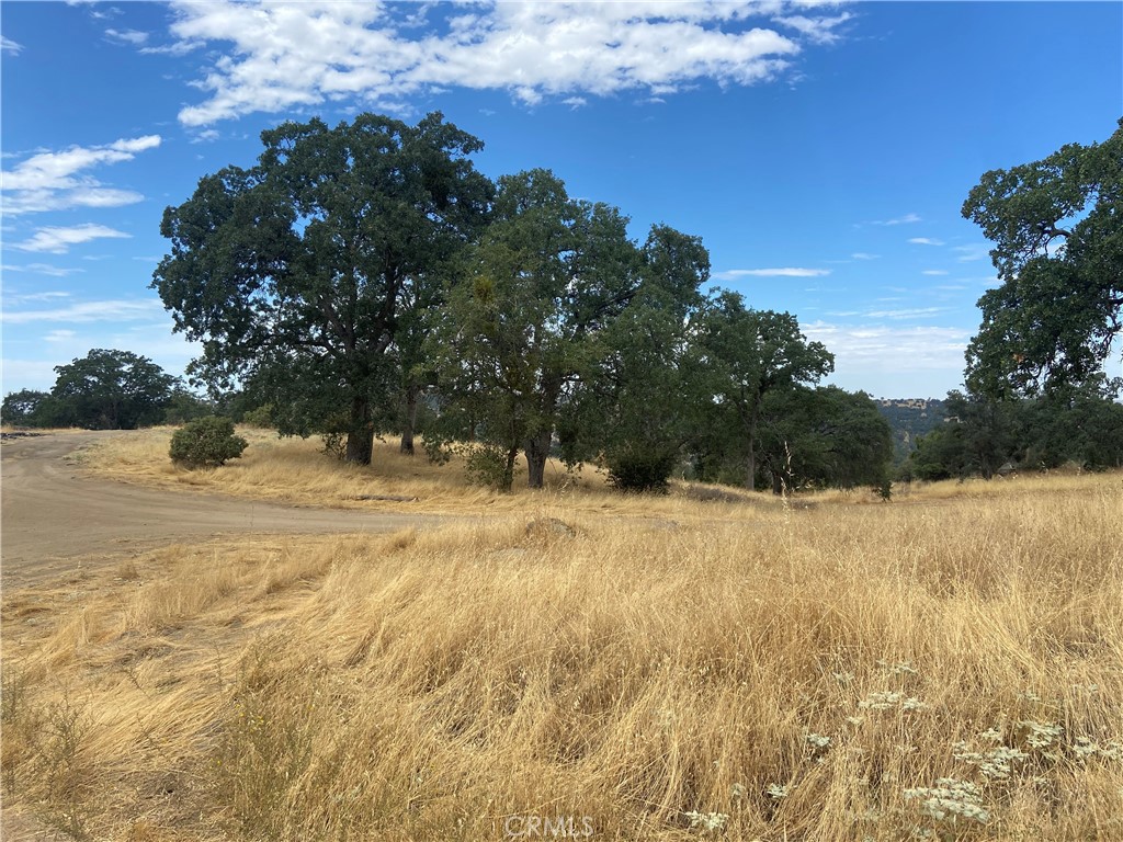0 Hogans Mountain RD, Coarsegold, CA 93614
