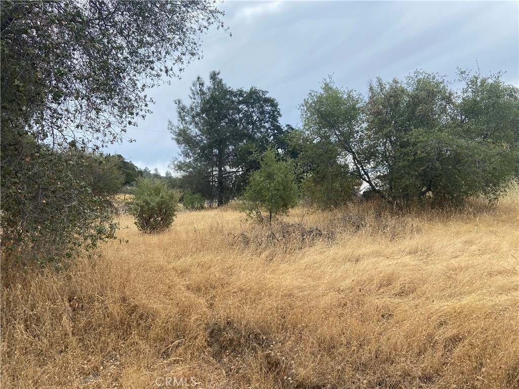 0 Hogans Mountain RD, Coarsegold, CA 93614