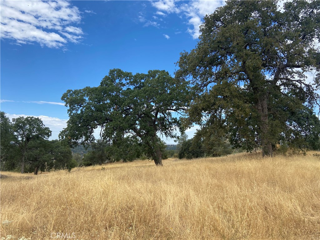 0 Hogans Mountain RD, Coarsegold, CA 93614