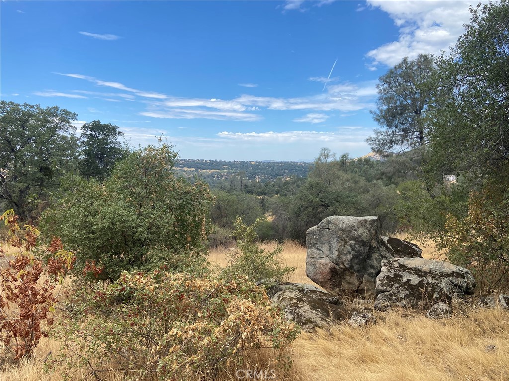 0 Hogans Mountain RD, Coarsegold, CA 93614