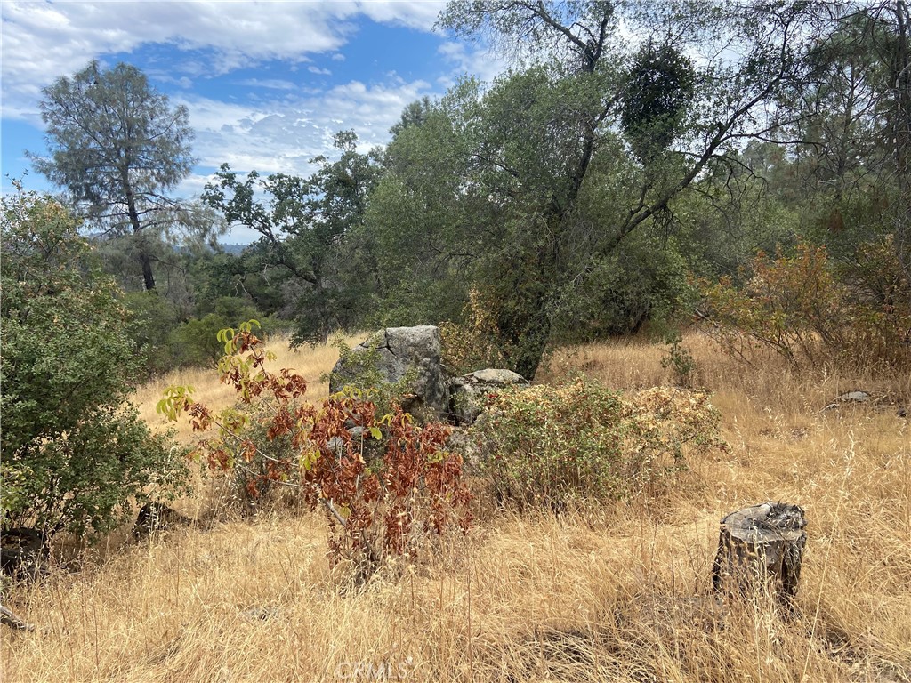 0 Hogans Mountain RD, Coarsegold, CA 93614