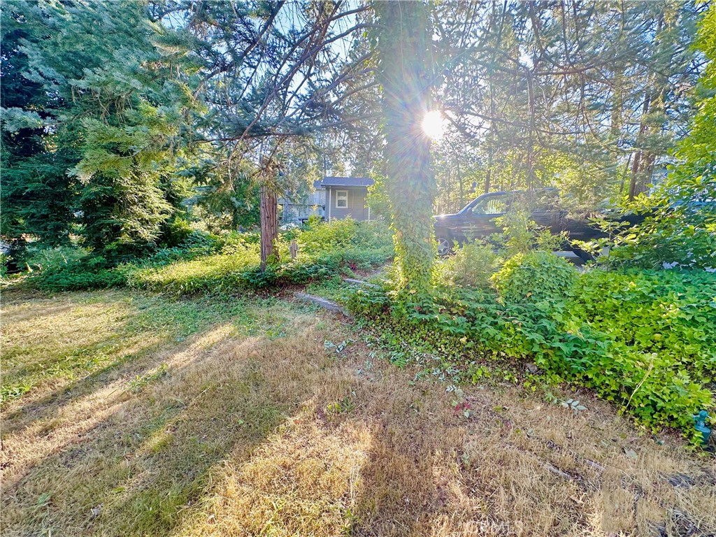 39550 Saunders, Bass Lake, CA 93604