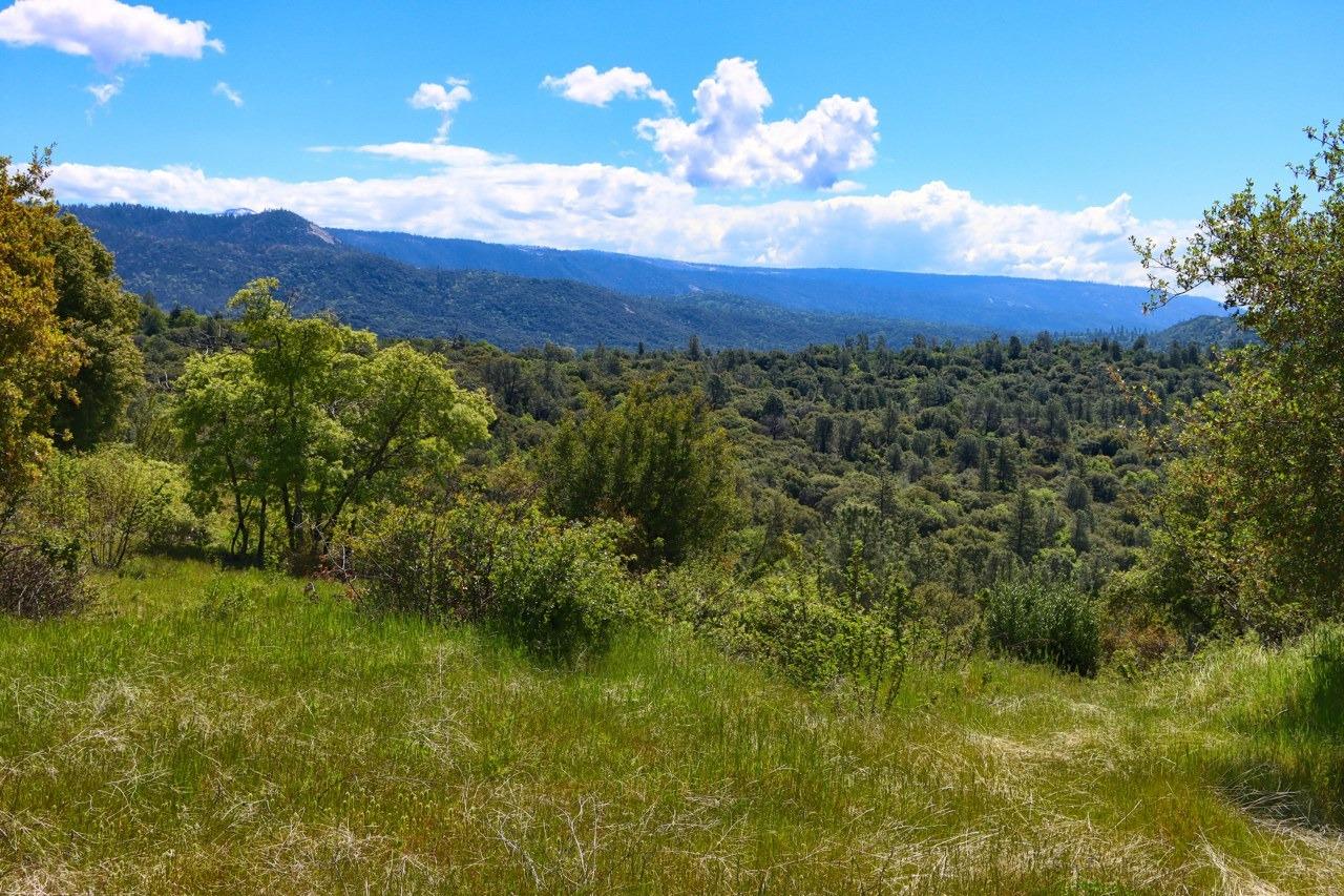 0 155.3 AC Old Yosemite Rd, Oakhurst, CA 93644