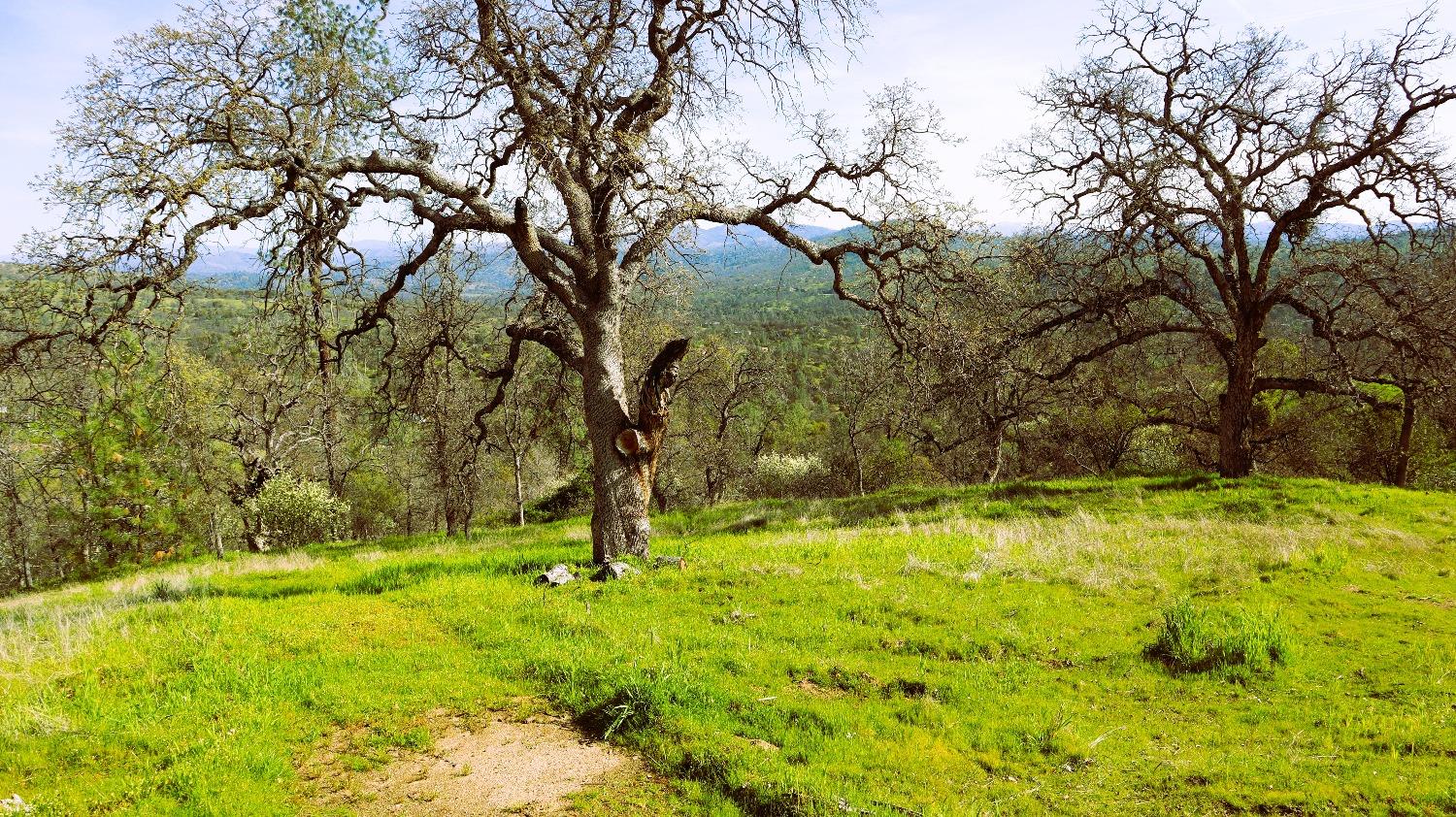 222 Big River Way, Coarsegold, CA 93614