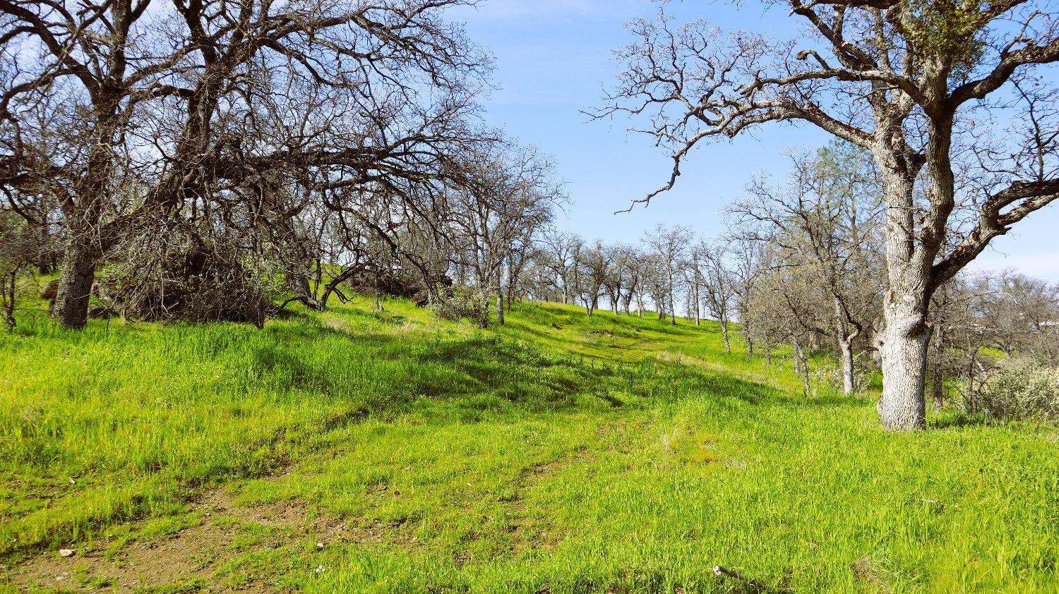 222 Big River Way, Coarsegold, CA 93614