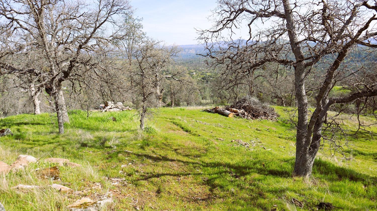 222 Big River Way, Coarsegold, CA 93614