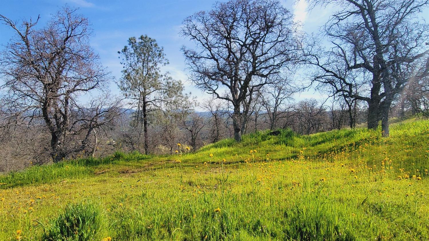 222 Big River Way, Coarsegold, CA 93614