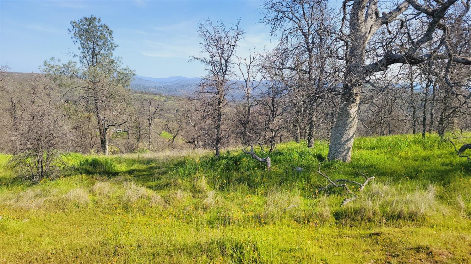 222 Big River Way, Coarsegold, CA 93614