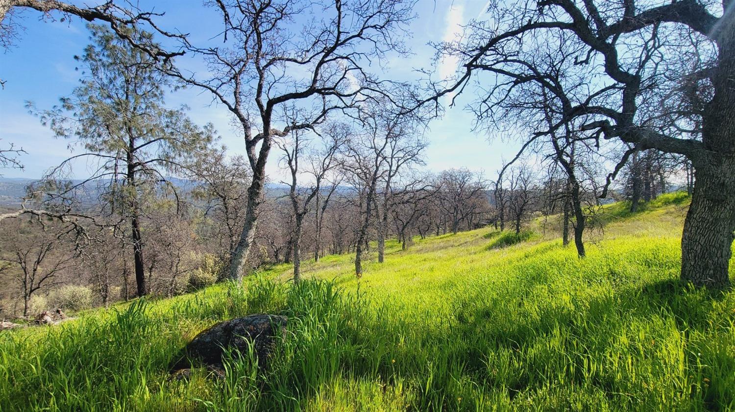 222 Big River Way, Coarsegold, CA 93614