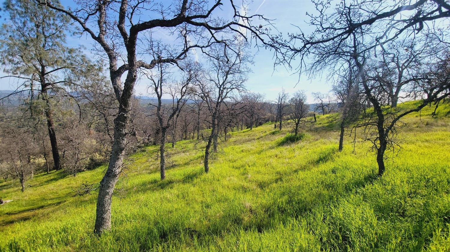 222 Big River Way, Coarsegold, CA 93614