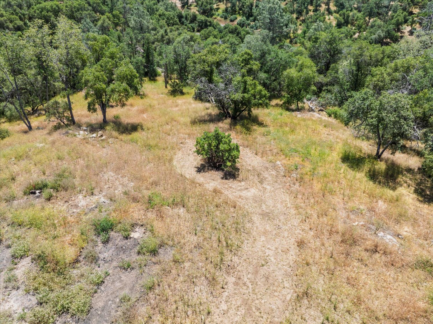 56 Serendipity Ln #Lot56, Coarsegold, CA 93614