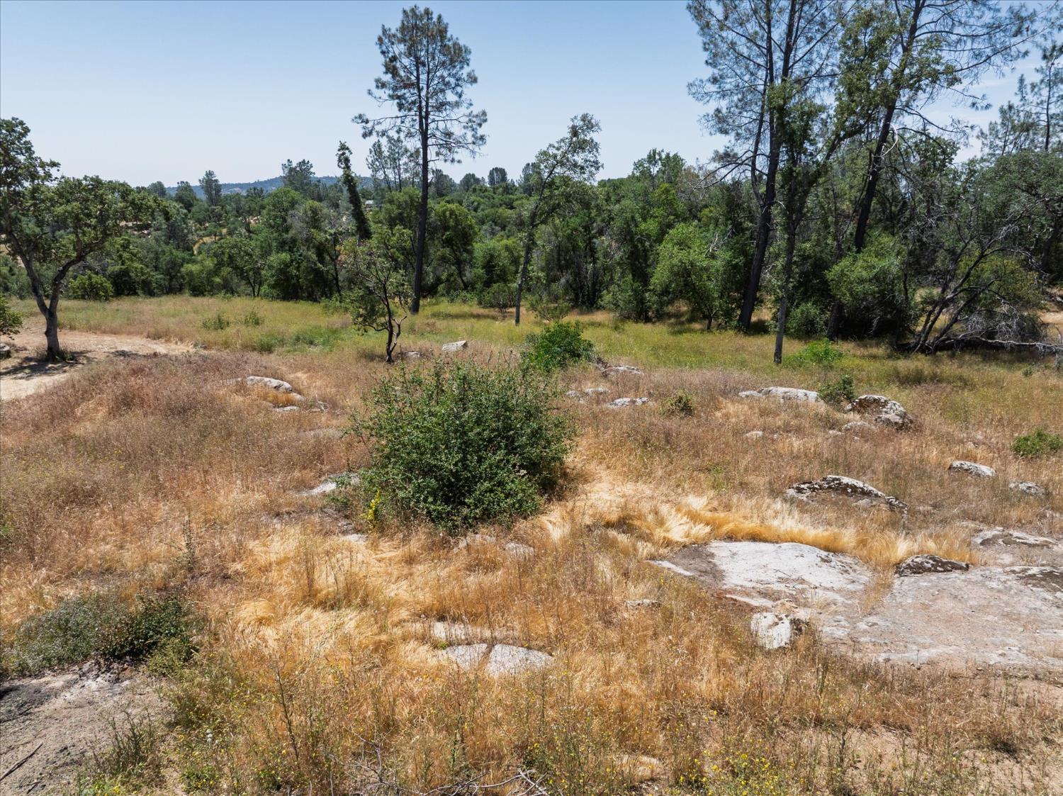 56 Serendipity Ln #Lot56, Coarsegold, CA 93614