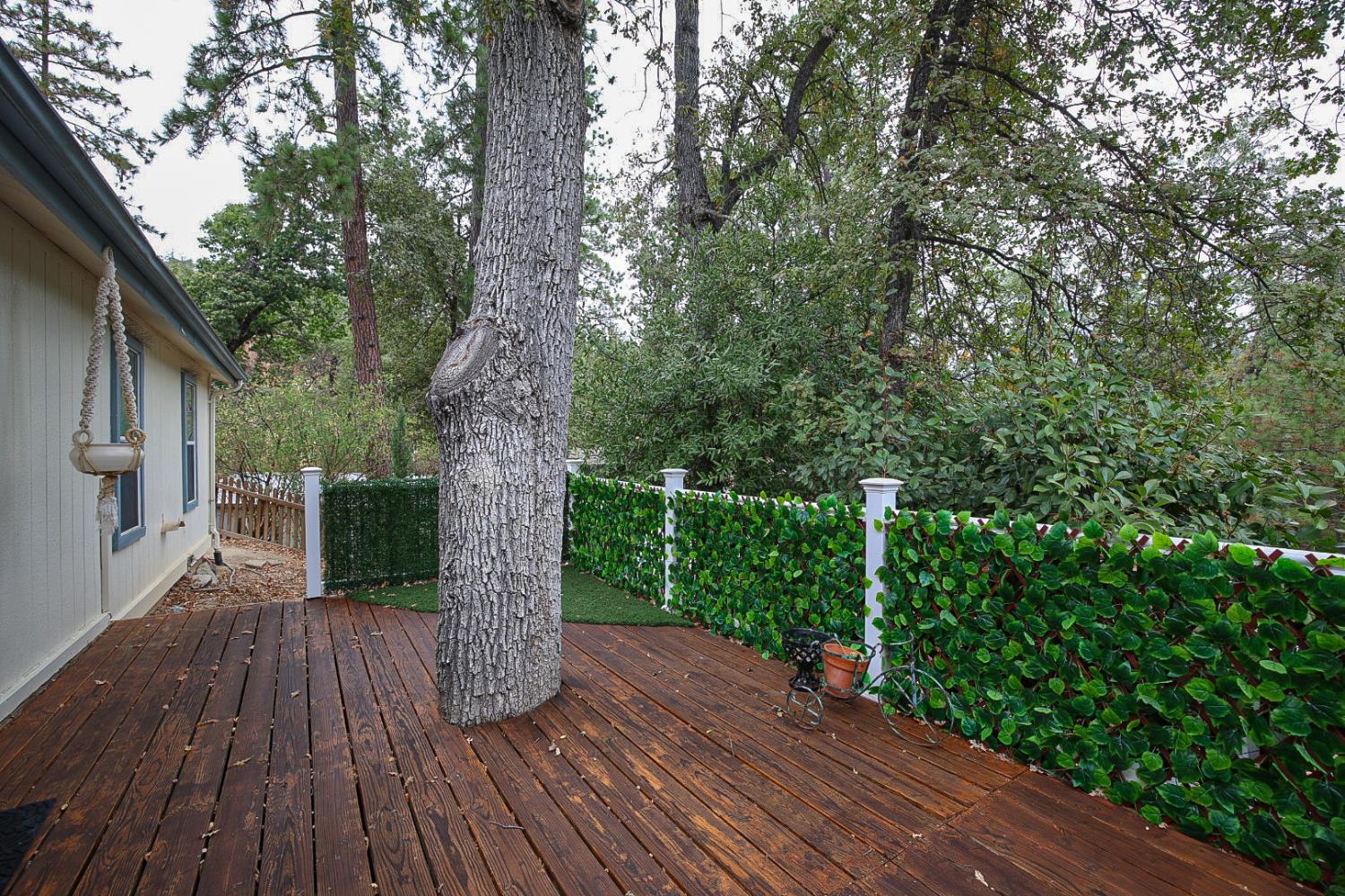 43555 Highway 41 #A3, Oakhurst, CA 93644