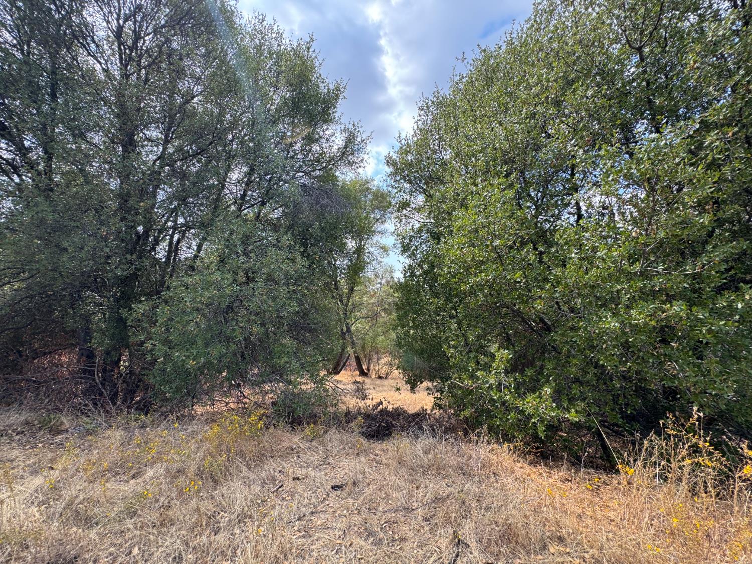 2 Summerhill, Coarsegold, CA 93614