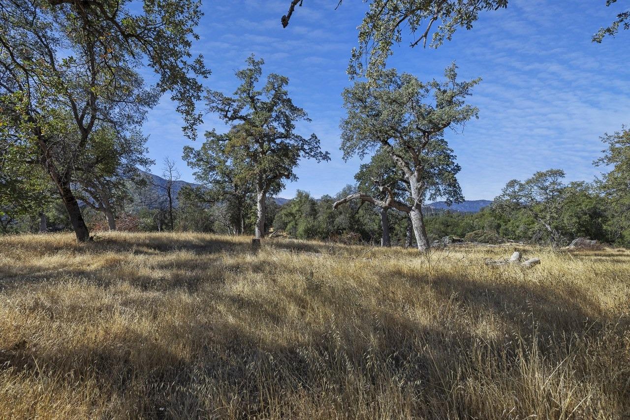 0 39.29 AC Village Dr, Oakhurst, CA 93644