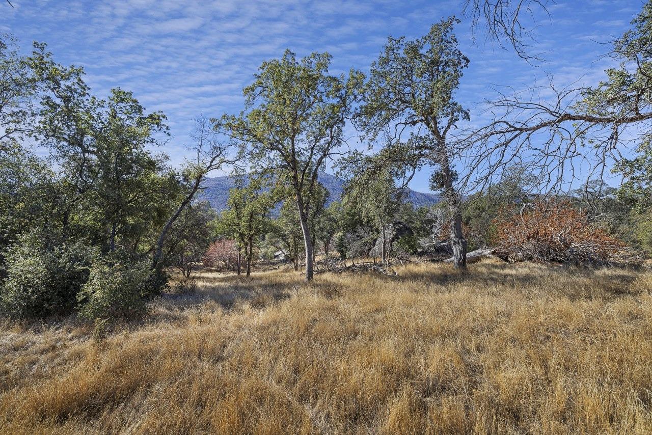 0 39.29 AC Village Dr, Oakhurst, CA 93644