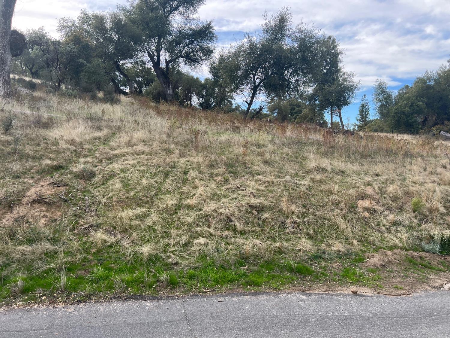 1 Hangtree Ct, Oakhurst, CA 93644