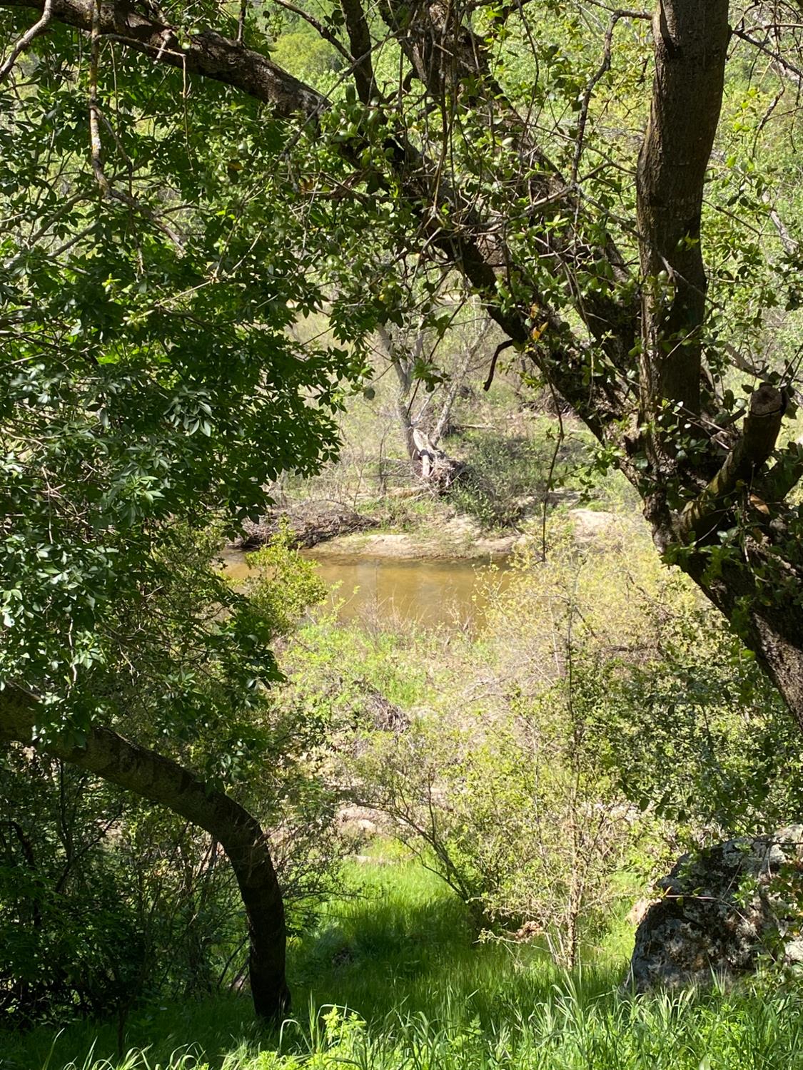 31560 Road 400, Coarsegold, CA 93614