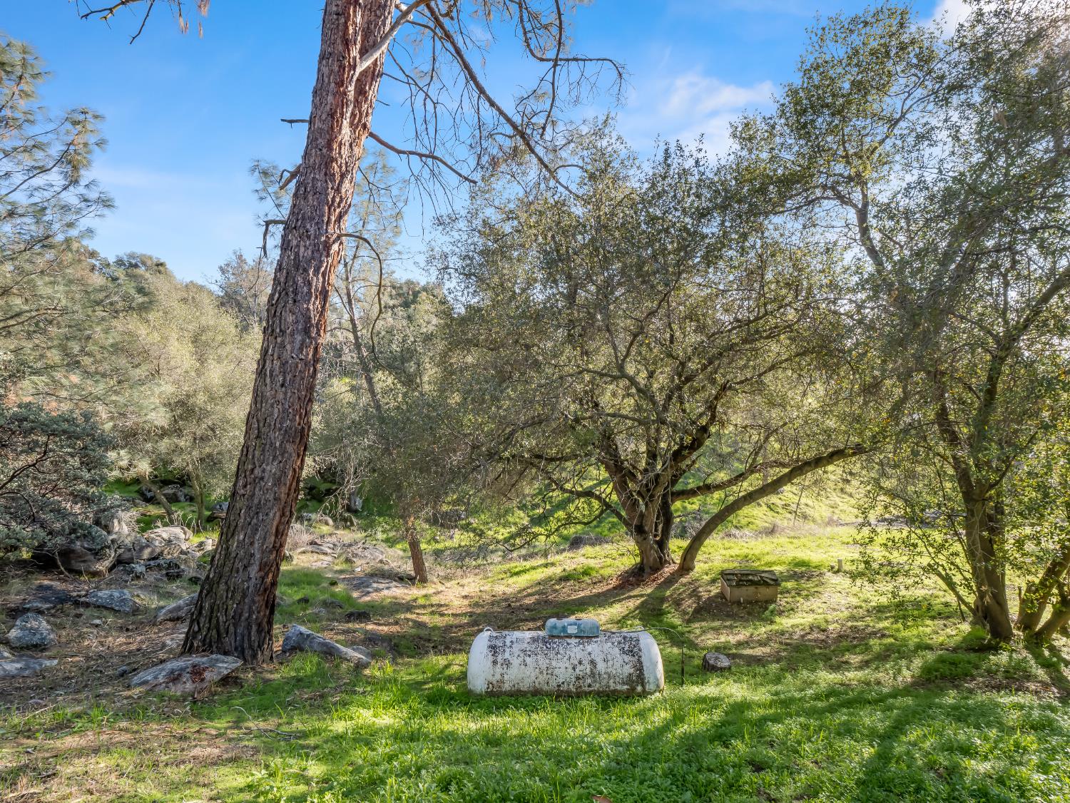 29700 Deer Trail Ln, Coarsegold, CA 93614