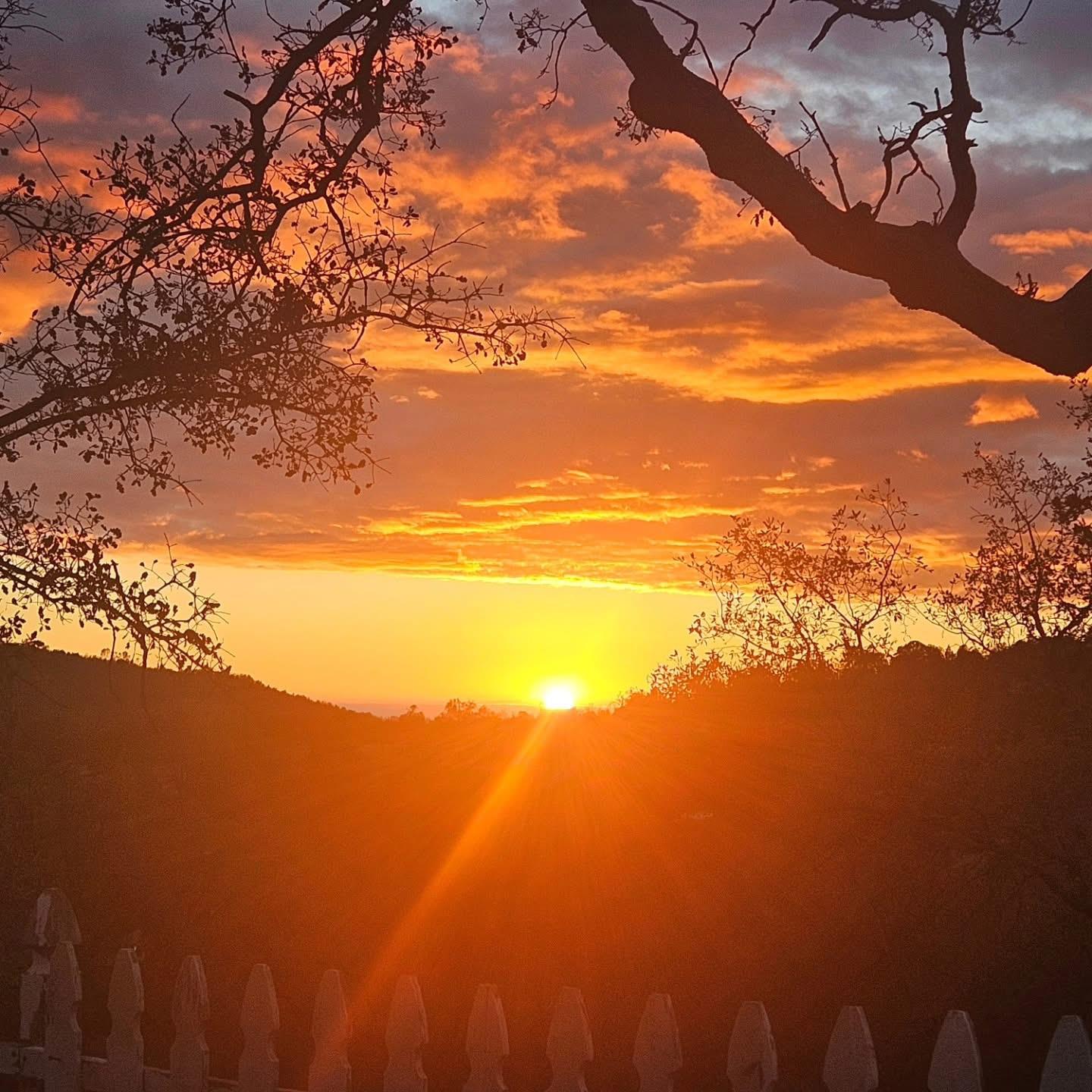 46455 Konklin Rd, Coarsegold, CA 93614